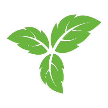 常青藤全国青少年校园戏剧创意大赛